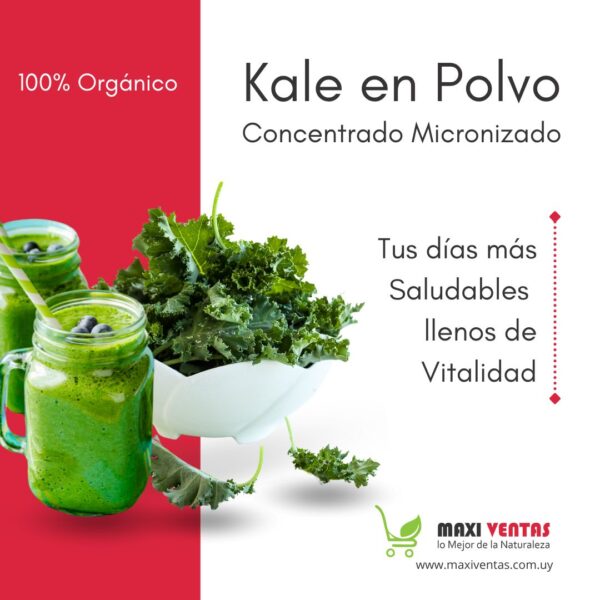 Kale en Polvo | Concentrado Micronizado | 100% Organico