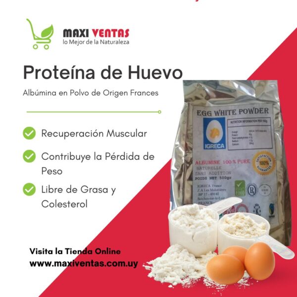 Proteína de Huevo (Albúmina) | En Polvo | Origen Frances | Premium